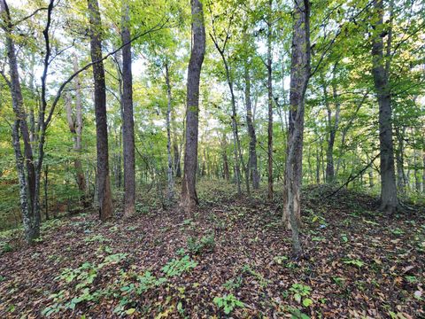 Tiny photo for 0 River Bottom Lane, Concord, VA 24538 (MLS # 366290)