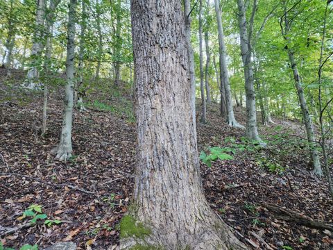 Tiny photo for 0 River Bottom Lane, Concord, VA 24538 (MLS # 366290)