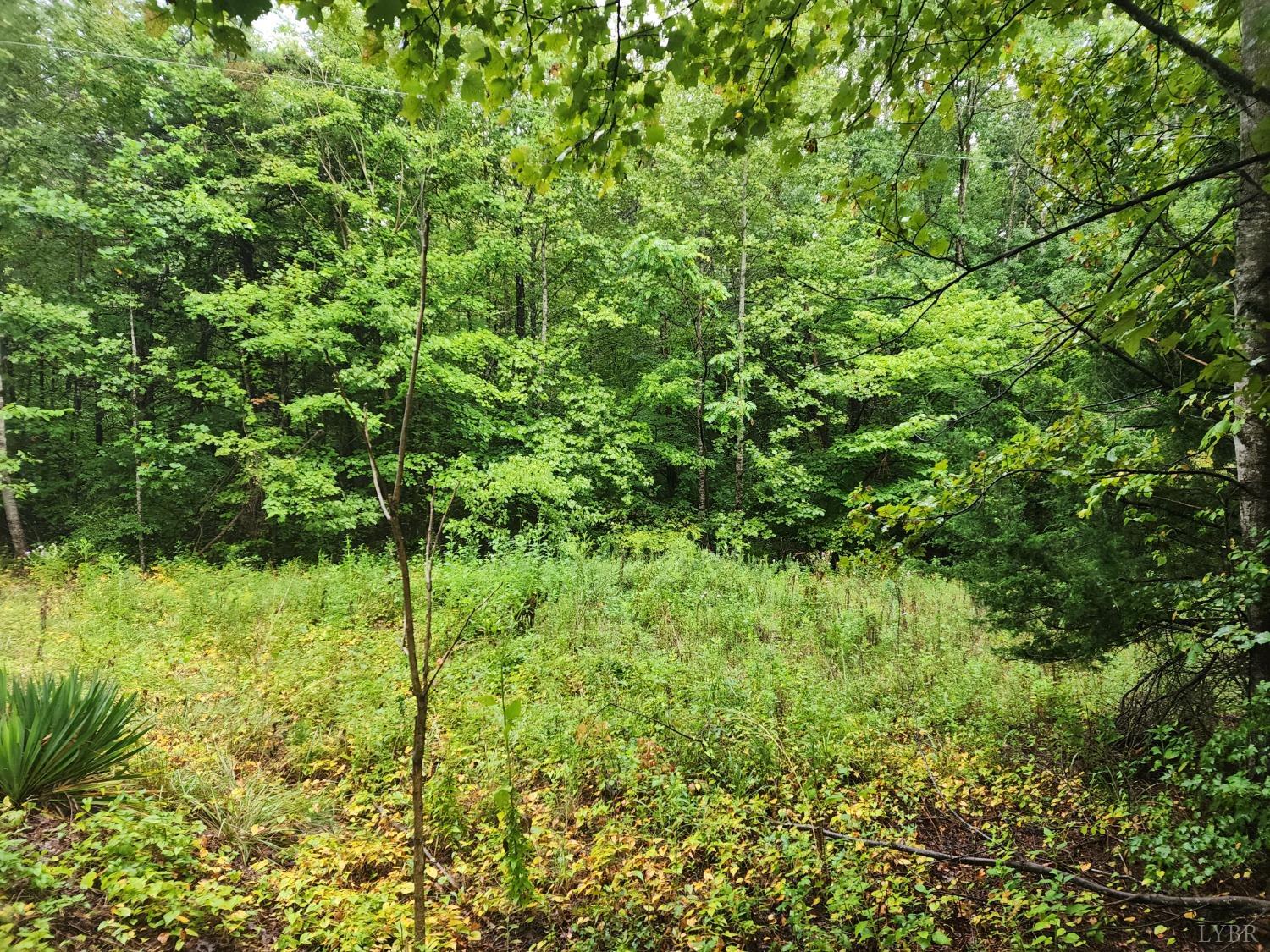 Double Bridges Road, Spout Spring, Virginia image 2