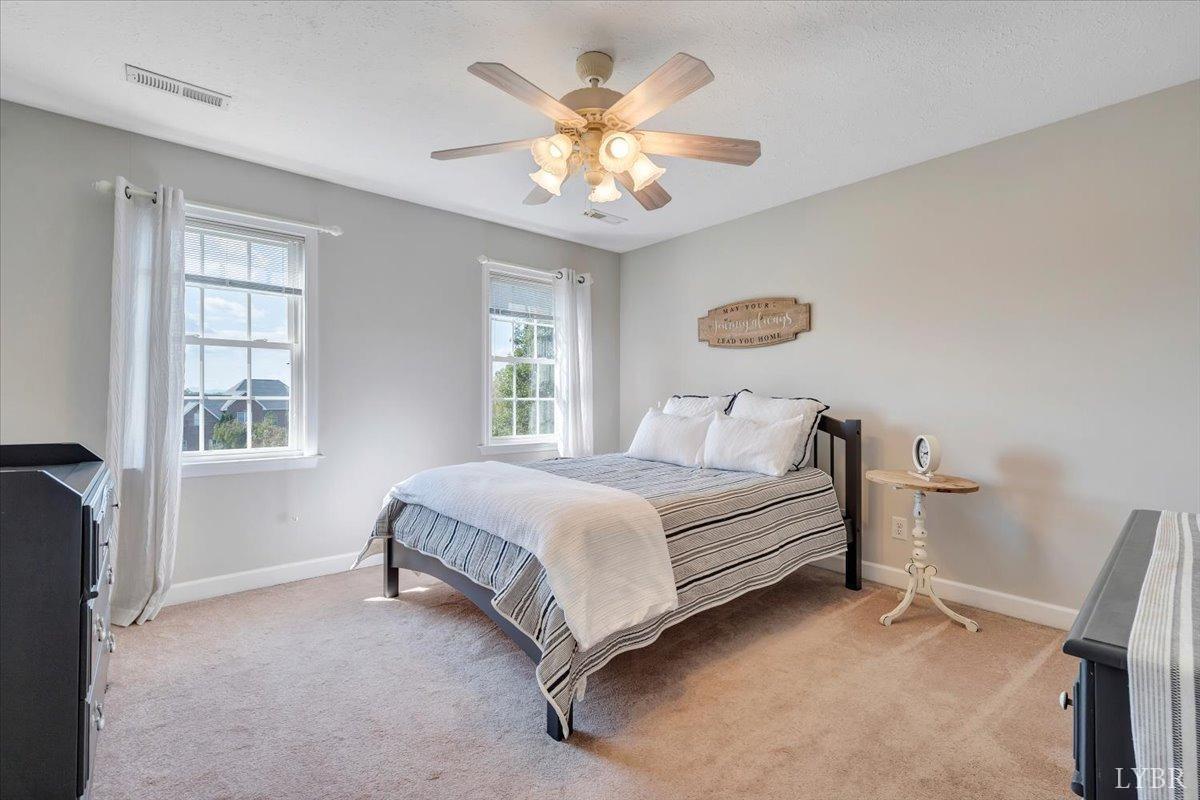 1061 Cedar Sky Court, Forest, Virginia image 23