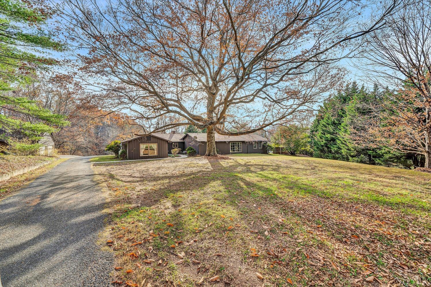 1523 Von Roy Road, Bedford, Virginia image 3