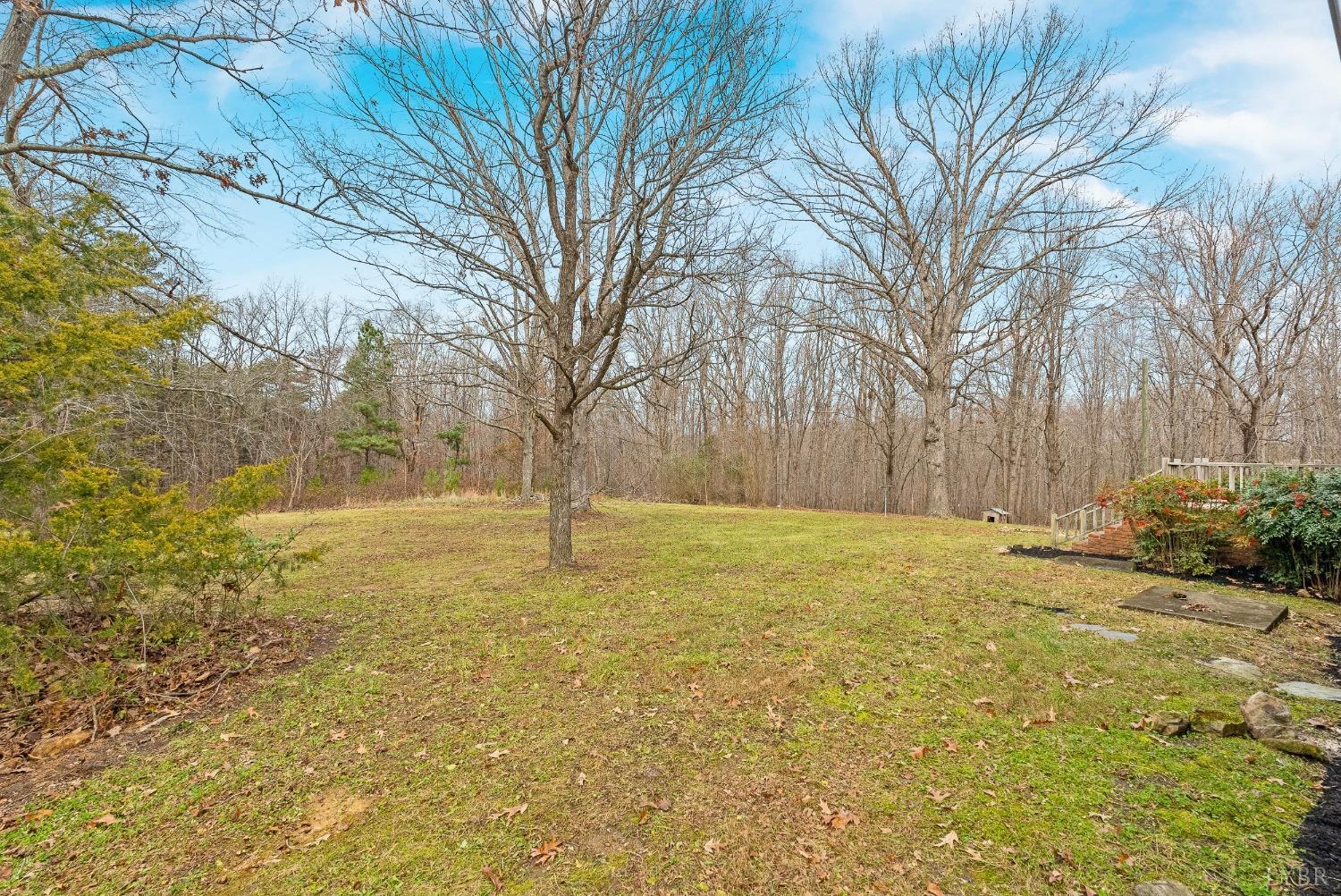 9108 Wheelers Spring Road, Appomattox, Virginia image 37