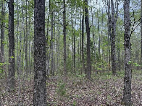 Photo of 0 Farmville Road, Meherrin, VA 23954 (MLS # 365663)