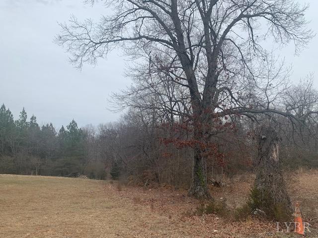 Shingle Block Road, Bedford, Virginia image 3
