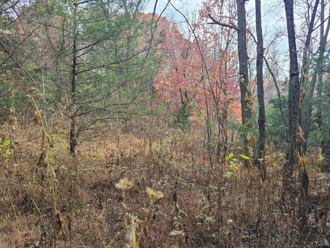 Tiny photo for 0 Pittsville Road, Gretna, VA 24557 (MLS # 363002)