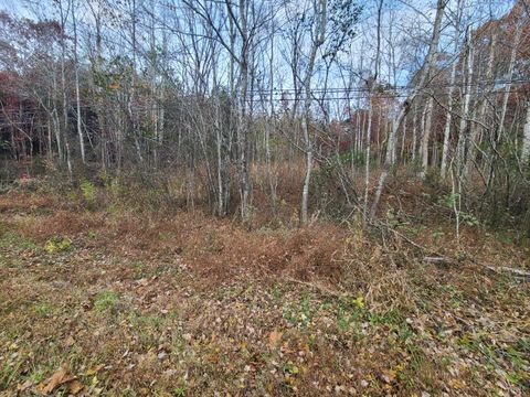 Tiny photo for 0 Pittsville Road, Gretna, VA 24557 (MLS # 363002)