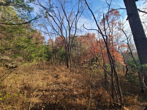 Tiny photo for 0 Pittsville Road, Gretna, VA 24557 (MLS # 363002)