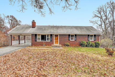 Photo of 3952 New London Road, Forest, VA 24551 (MLS # 363302)