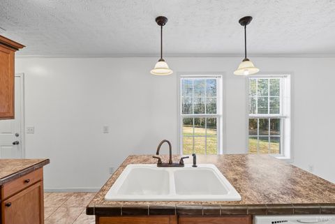 Tiny photo for 309 Marion Road, Chatham, VA 24531 (MLS # 363956)