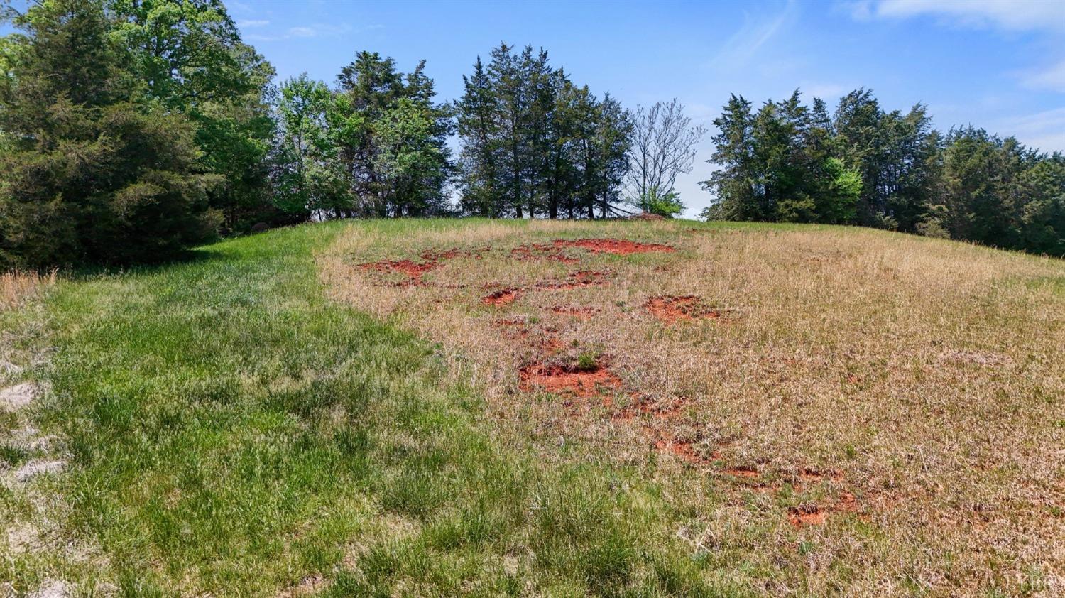 Arrington Dr, Evington, Virginia image 11