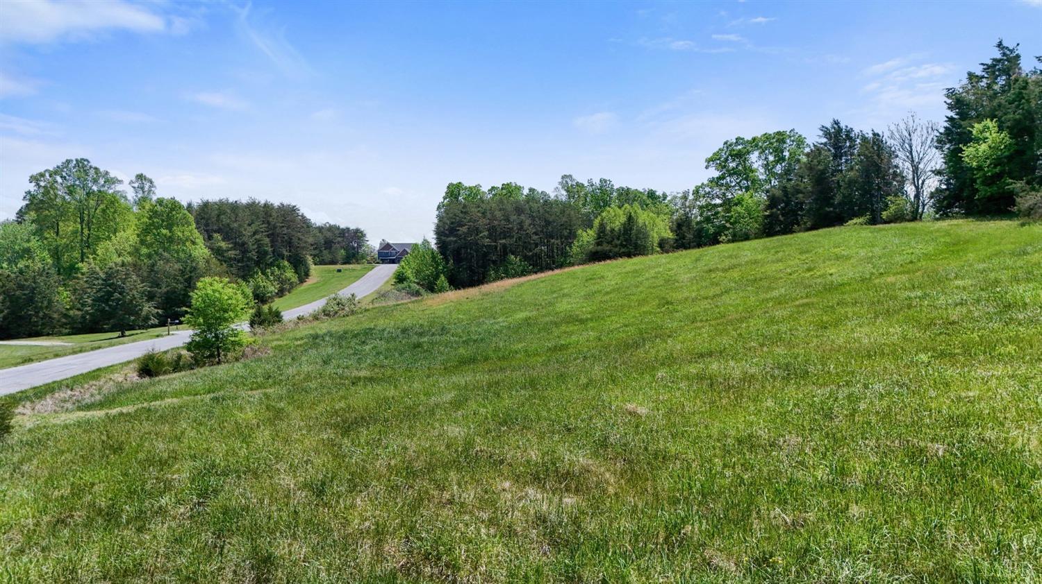 Arrington Dr, Evington, Virginia image 13