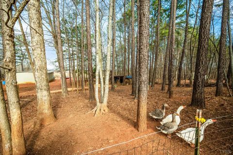 Tiny photo for 3105 Horseshoe Road, Appomattox, VA 24522 (MLS # 364671)