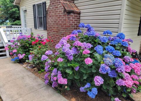 Tiny photo for 3105 Horseshoe Road, Appomattox, VA 24522 (MLS # 364671)