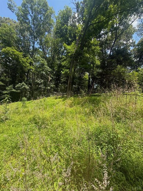 Photo of 1712 Moormans Road, Lynchburg, VA 24501 (MLS # 367287)