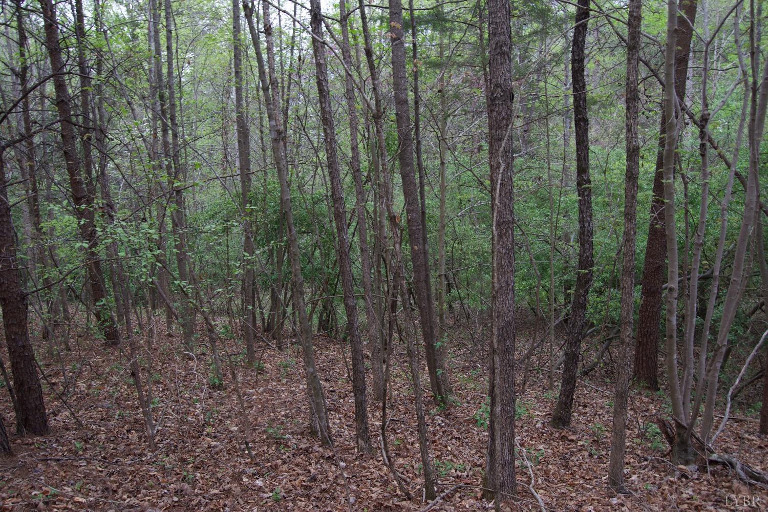 Lot 361 Clear Point Run, Lynch Station, Virginia image 42