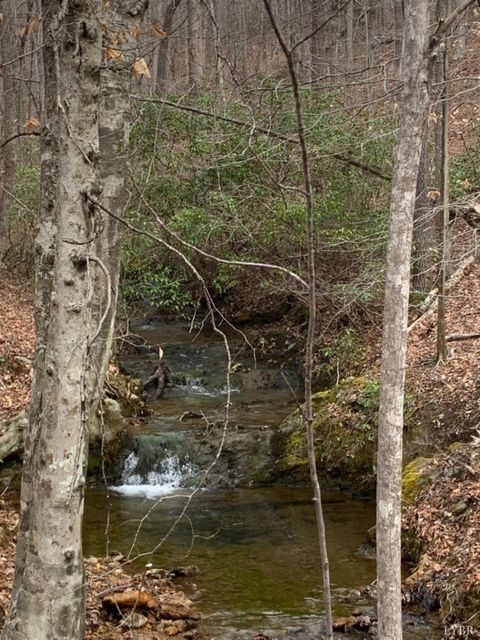 Tiny photo for 0 Christian Mill Creek Rd Road, Amherst, VA 24521 (MLS # 365360)