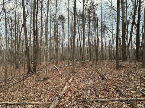 Tiny photo for 0 Christian Mill Creek Rd Road, Amherst, VA 24521 (MLS # 365360)