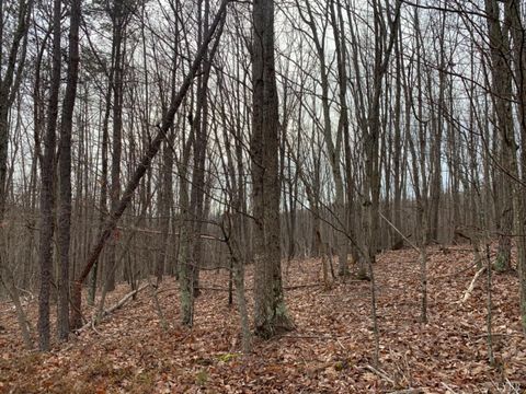 Photo of 0 Christian Mill Creek Rd Road, Amherst, VA 24521 (MLS # 365360)