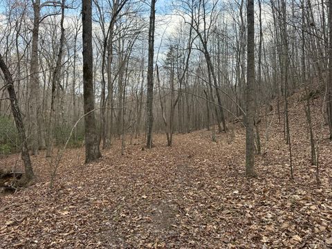 Tiny photo for 0 Christian Mill Creek Rd Road, Amherst, VA 24521 (MLS # 365360)