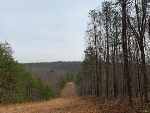 Tiny photo for 0 Christian Mill Creek Rd Road, Amherst, VA 24521 (MLS # 365360)