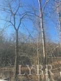 Graves Bridge Rd, Sandy Level, Virginia image 14