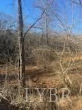 Graves Bridge Rd, Sandy Level, Virginia image 18