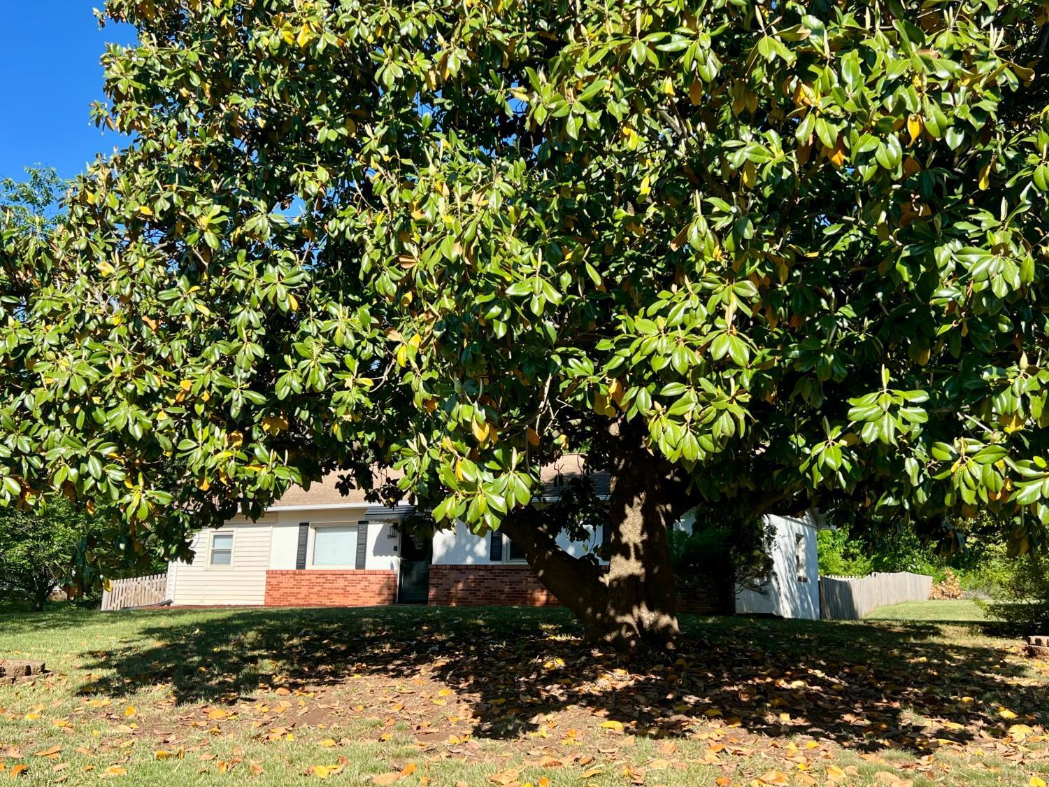 139 Abbitts Drive, Madison Heights, Virginia image 29