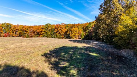 Tiny photo for 0 Hat Creek Road, Brookneal, VA 24528 (MLS # 363383)
