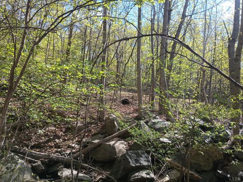 Tiny photo for 0 Rockfish Heights, Nellysford, VA 22958 (MLS # 365920)