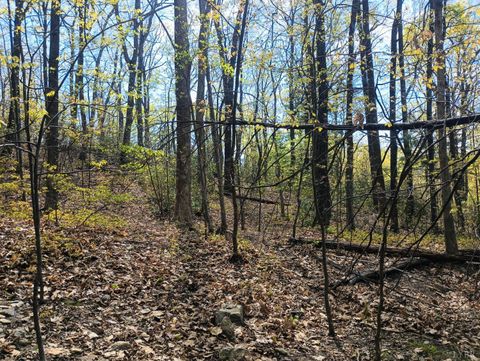 Tiny photo for 0 Rockfish Heights, Nellysford, VA 22958 (MLS # 365920)