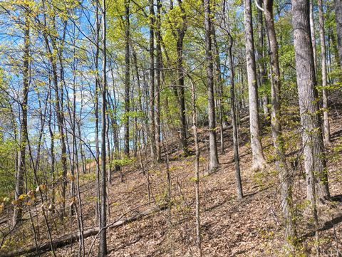 Tiny photo for 0 Rockfish Heights, Nellysford, VA 22958 (MLS # 365920)