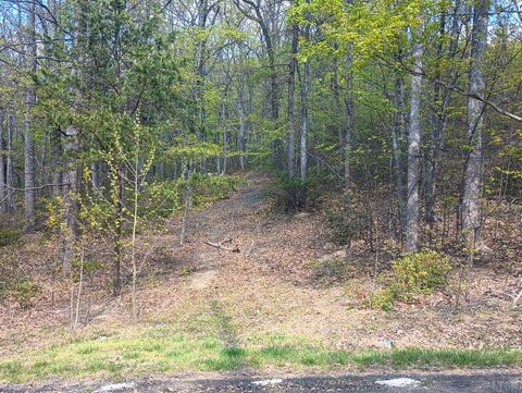 Tiny photo for 0 Rockfish Heights, Nellysford, VA 22958 (MLS # 365920)