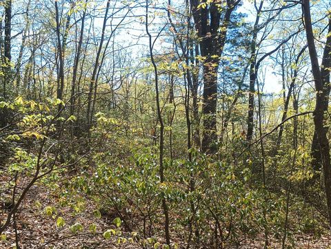 Tiny photo for 0 Rockfish Heights, Nellysford, VA 22958 (MLS # 365920)