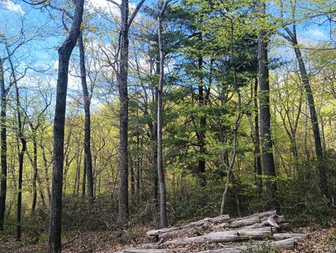 Tiny photo for 0 Rockfish Heights, Nellysford, VA 22958 (MLS # 365920)