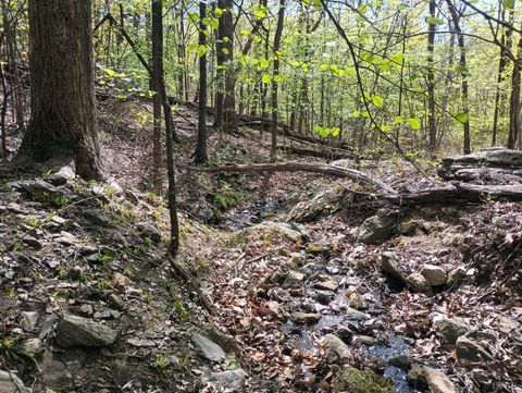 Tiny photo for 0 Rockfish Heights, Nellysford, VA 22958 (MLS # 365920)