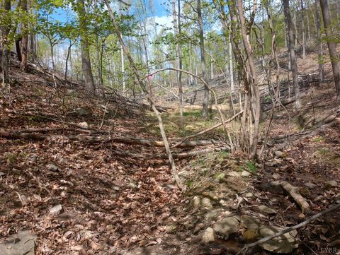 Tiny photo for 0 Rockfish Heights, Nellysford, VA 22958 (MLS # 365920)