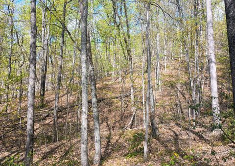 Tiny photo for 0 Rockfish Heights, Nellysford, VA 22958 (MLS # 365920)