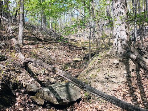 Tiny photo for 0 Rockfish Heights, Nellysford, VA 22958 (MLS # 365920)