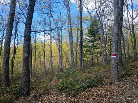 Tiny photo for 0 Rockfish Heights, Nellysford, VA 22958 (MLS # 365920)