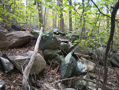 Tiny photo for 0 Rockfish Heights, Nellysford, VA 22958 (MLS # 365920)