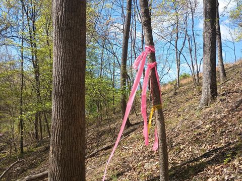 Tiny photo for 0 Rockfish Heights, Nellysford, VA 22958 (MLS # 365920)