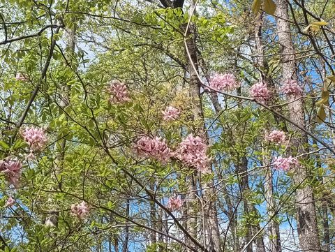 Tiny photo for 0 Rockfish Heights, Nellysford, VA 22958 (MLS # 365920)