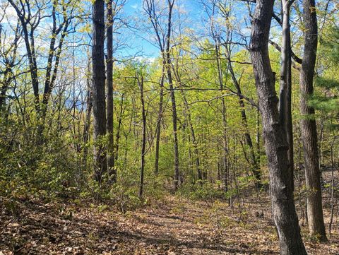 Tiny photo for 0 Rockfish Heights, Nellysford, VA 22958 (MLS # 365920)