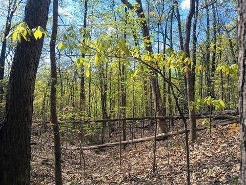 Tiny photo for 0 Rockfish Heights, Nellysford, VA 22958 (MLS # 365920)