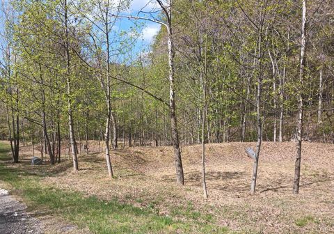 Tiny photo for 0 Rockfish Heights, Nellysford, VA 22958 (MLS # 365920)