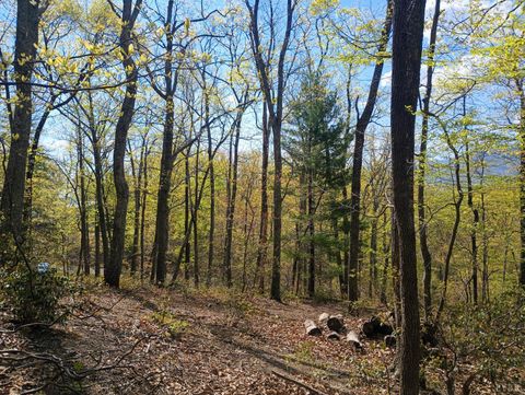 Tiny photo for 0 Rockfish Heights, Nellysford, VA 22958 (MLS # 365920)