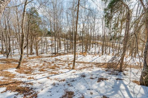 Tiny photo for 109 Deertrack Drive, Forest, VA 24551 (MLS # 364439)