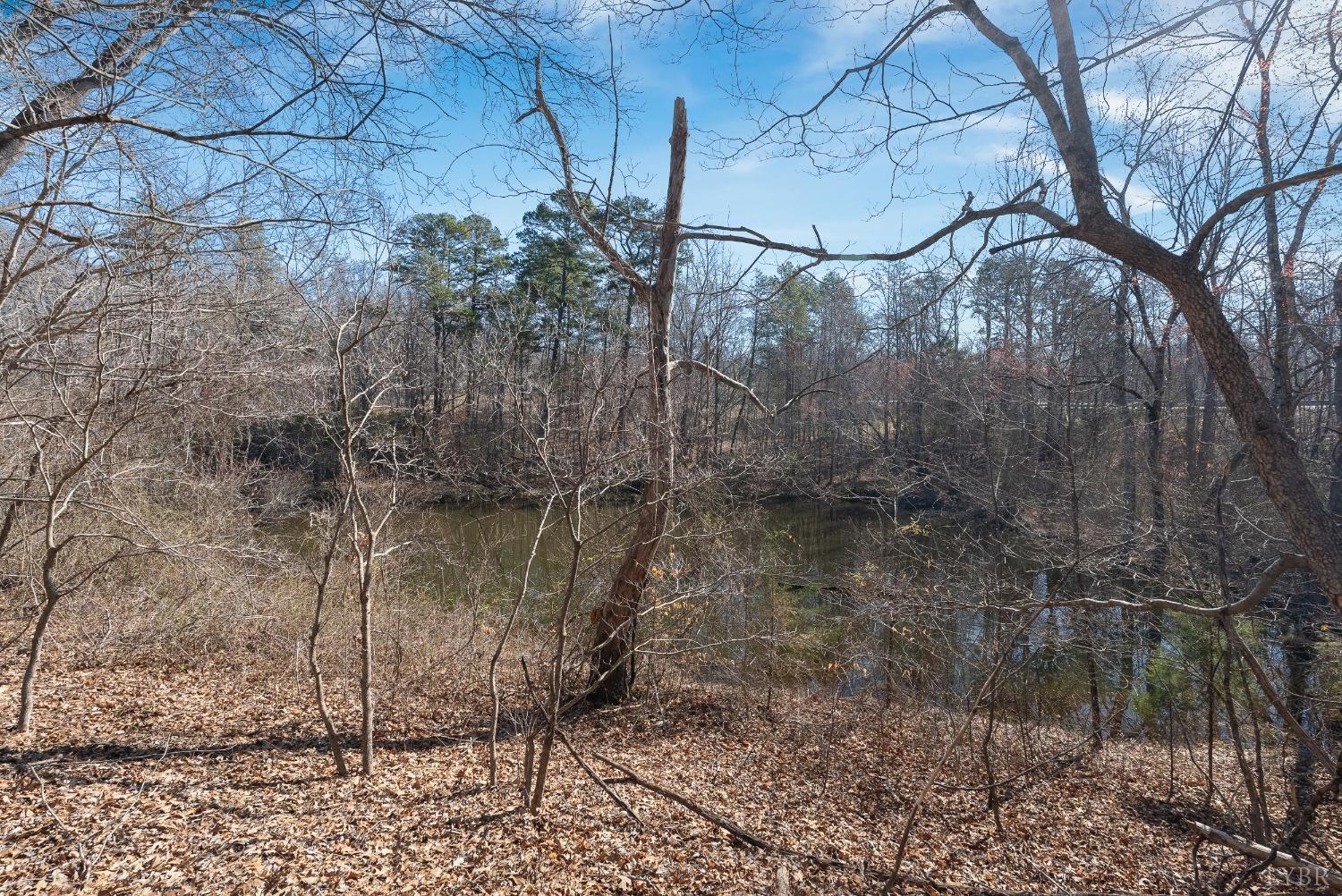 53 Woodlake Circle, Altavista, Virginia image 39