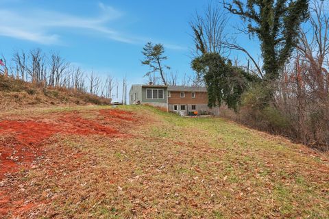 Tiny photo for 143 Shannon Drive Dr, Madison Heights, VA 24572 (MLS # 363695)