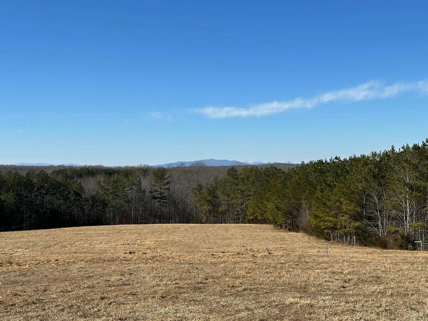 Piney Mountain Road, Appomattox, Virginia image 7